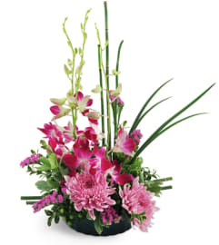 Birthday Wish. An arrangement by The Flower Shop.