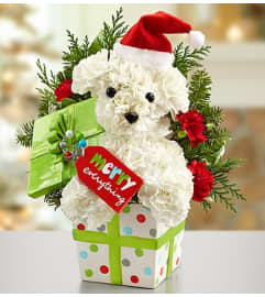 Santa Paws™ in a Gift Box. An arrangement by Blessing and Blooms Florist.
