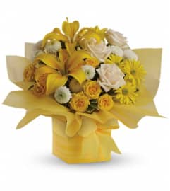 Teleflora's Sunshine Surprise Present. An arrangement by Pompano Beach Floral.