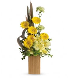 Sunbeams And Smiles by Teleflora. An arrangement by Vivian Flowers.
