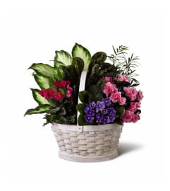 The FTD® Peaceful Garden™ Planter. An arrangement by Mystic Garden Floral.