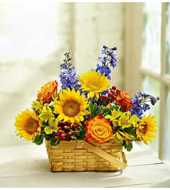 Blooming Basket Arrangement. An arrangement by Blessing and Blooms Florist.