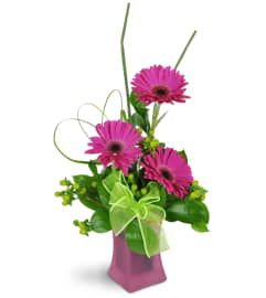 Happy Dance. An arrangement by The Flower Shop.