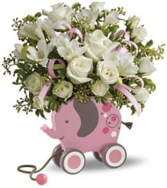 MiGi Baby Elephant by Teleflora - Pink. An arrangement by Devine Orchid.