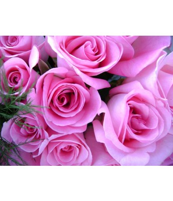 Pink Roses: Nắm lấy sự tinh tế và sang trọng, hãy xem qua những bức ảnh về hoa hồng màu hồng tuyệt đẹp này. Sự quý phái, lãng mạn và hiện đại của hoa hồng sẽ khiến bạn cảm thấy lạc vào một thế giới đầy hứng khởi và ngọt ngào.