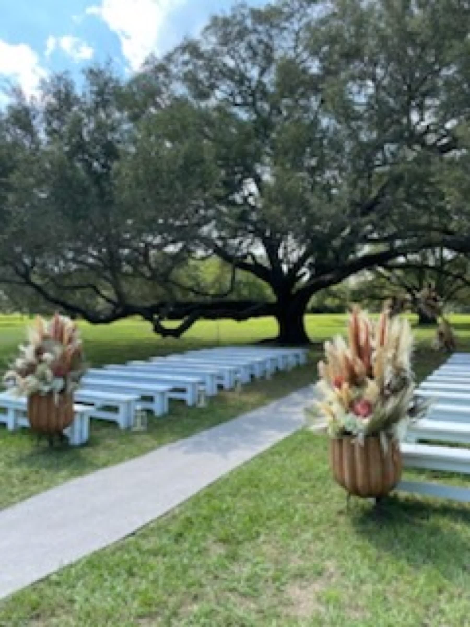Wedding flowers by Sicola's Florist