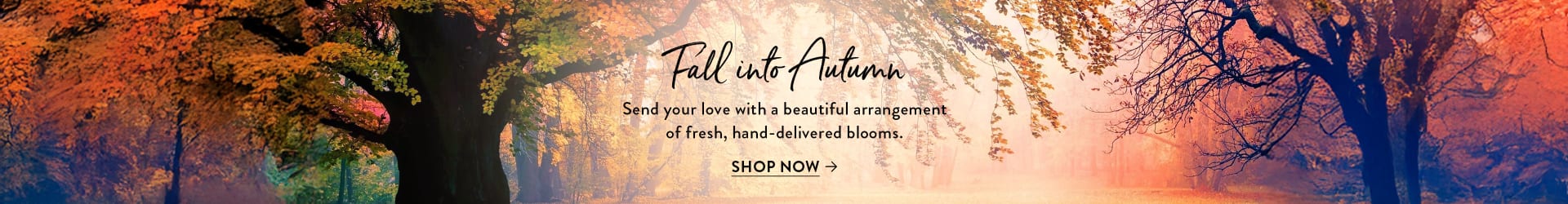  - flower delivery in Miami Springs – West Little River