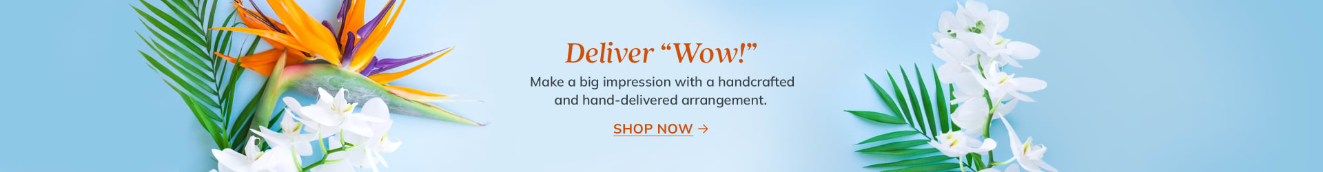 Tropical birds of paradise and white orchids on a blue background - flower delivery in Clovis-Fresno