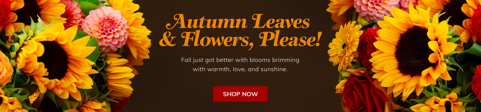 Autumn flowers and sunflowers on a dark background - flower delivery in Mineola, East Texas