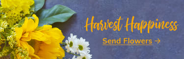 Autumn Flowers and Pumpkins - flower delivery in Midlothian, Charter Colony