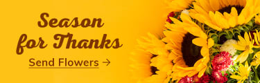 Celebrate Thanksgiving with a beautiful arrangement - flower delivery in Easton, Bethlehem