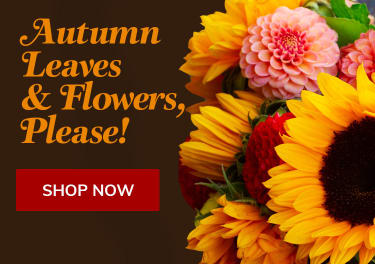 Autumn flowers and sunflowers on a dark background - flower delivery in Clemson