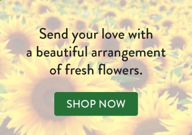  - flower delivery in Doral, Miami Springs