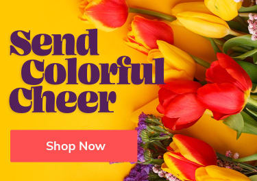 Brightly colored Easter flowers to send as a gift - flower delivery in Centretown, Ottawa