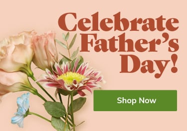 Assorted flowers for Father's Day on a peach background - flower delivery in Charlotte