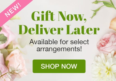 Bell Gardens Florist Free Same Day Delivery In Bell Gardens