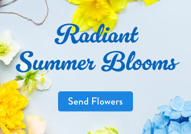 A variety of summer flowers, yellow and white, on a blue background - flower delivery in Charlotte