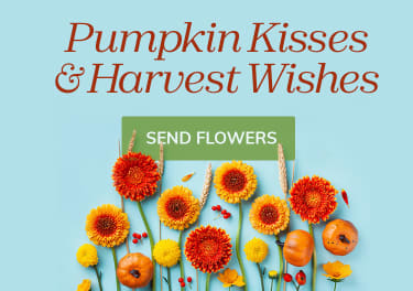 Gerbera daisies and pumpkins for Thanksgiving flowers - flower delivery in Poughkeepsie