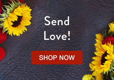 Charlotte Nc Florist Free Flower Delivery In Charlotte Nc Flowers Of Charlotte