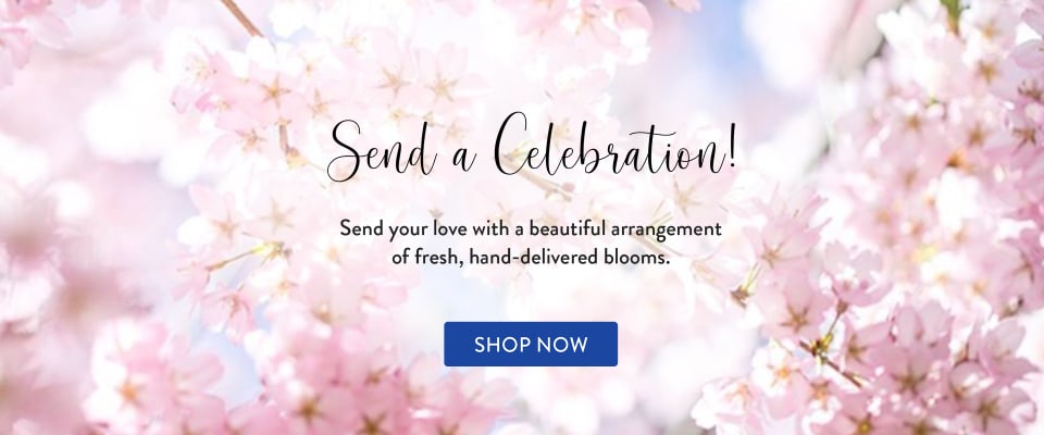  - flower delivery in Miami Springs