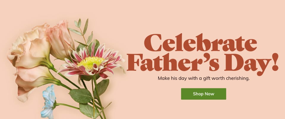 Assorted flowers for Father's Day on a peach background - flower delivery in Charlotte