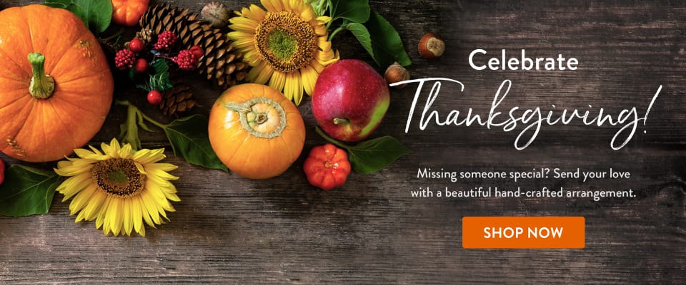 Tulsa Ok Florist Free Flower Delivery In Tulsa Ok Wild Orchid Florist