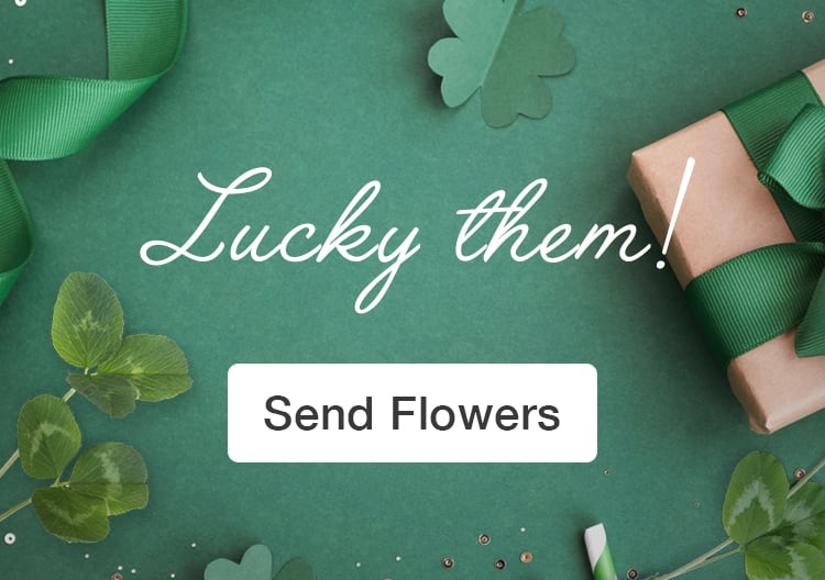 Flowers Ocala Florida Delivery Best Flower Site