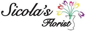 Sicola's Florist
