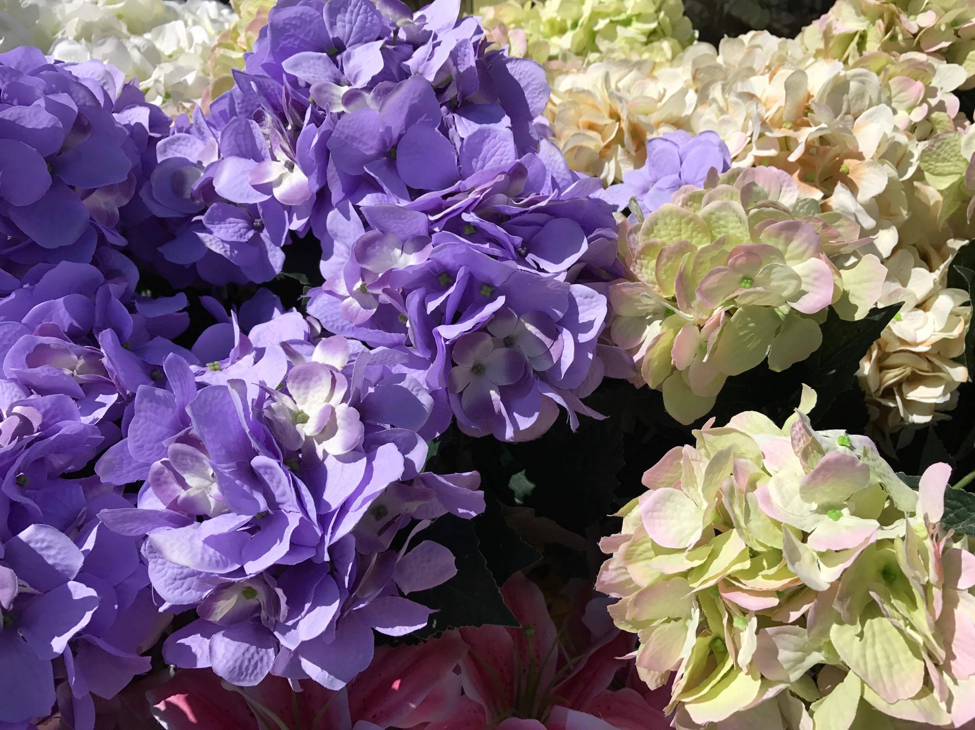 About Flowers by Peter Reviews, Hours & Delivery in Flushing NY