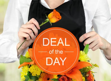 Mobile Splash Image Oregon Corners Florist S Difference Mobile Splash Image Oregon Corners Florist S Difference