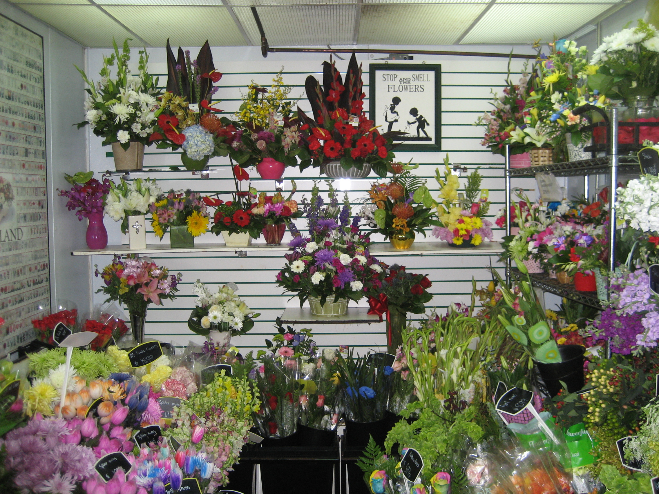 About Edmonton Flowers Ltd Reviews, Hours & Delivery in Edmonton AB