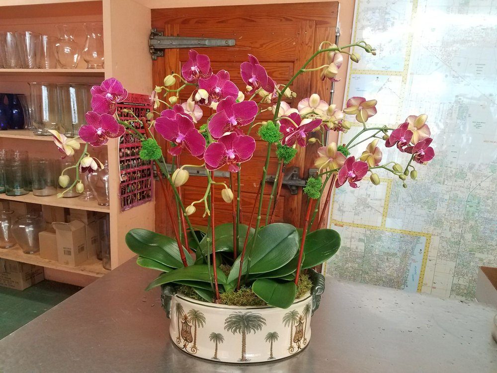 About Belden's Florist Reviews, Hours & Delivery in West Palm Beach FL