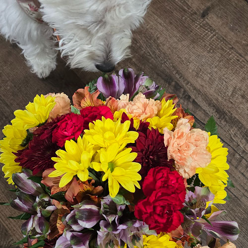 What Our Customers Say 5