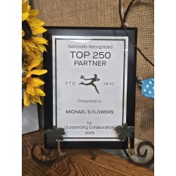 Award: Top 250 Partner