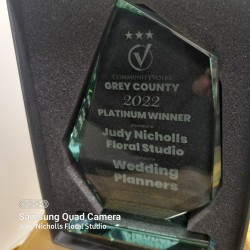 Wedding Planner Award: Wedding Planner