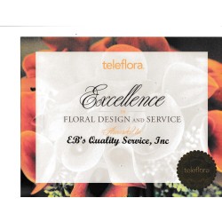 EBS QUALITY SERVICE INC Award: EBS QUALITY SERVICE INC