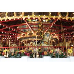 Carousel museum wedding Award: Carousel museum wedding