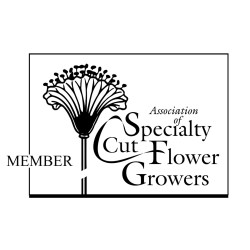 Member of ASCFG Award: Member of ASCFG