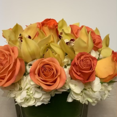 Desktop Gallery Entry 14