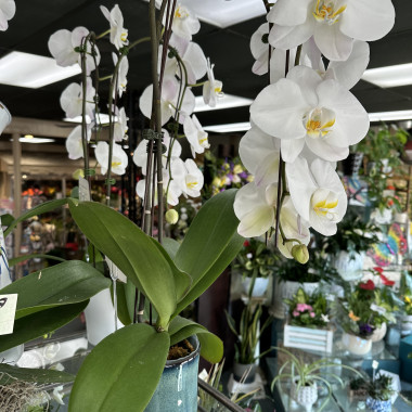 Desktop Gallery Entry 9