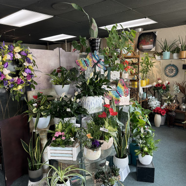 Desktop Gallery Entry 8