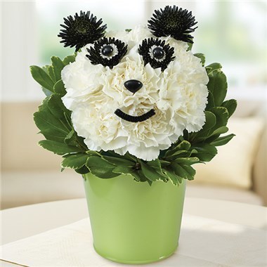 Desktop Gallery Entry 5