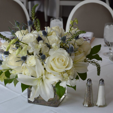 Desktop Gallery Entry 19