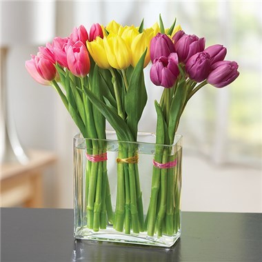 Desktop Gallery Entry 10