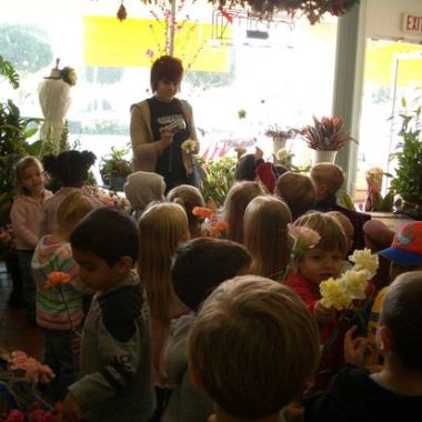 Desktop Gallery Entry 5