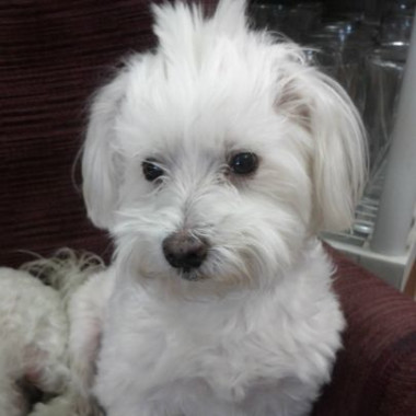 Desktop Gallery Entry 13