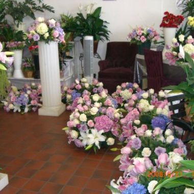 Desktop Gallery Entry 2