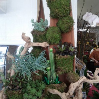 Desktop Gallery Entry 14