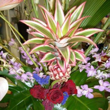 Desktop Gallery Entry 11