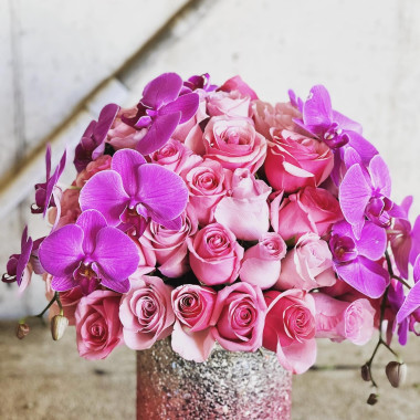 Desktop Gallery Entry 1